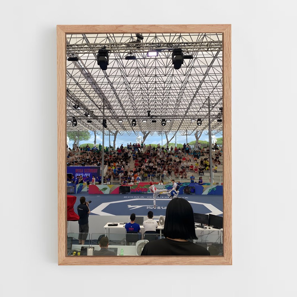 Poster Taekwondo en Fête (vue 4)